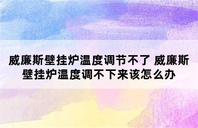 威廉斯壁挂炉温度调节不了 威廉斯壁挂炉温度调不下来该怎么办